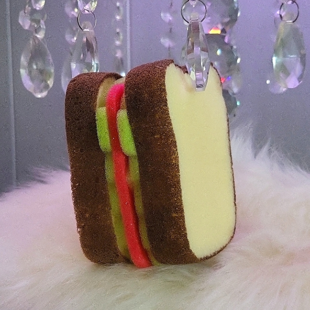 FUn sandwich sponge
